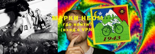 шишки Богородицк