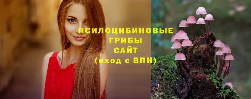 Галлюциногенные грибы Cubensis  Лукоянов 